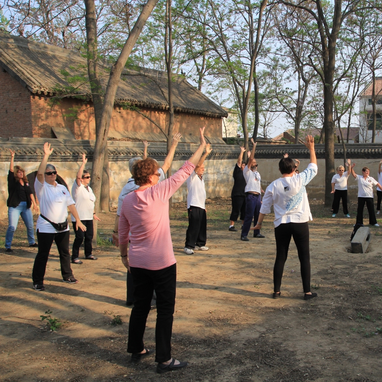 Tai Chi and Qigong for Health